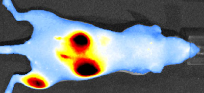 Fluorescent Dyes